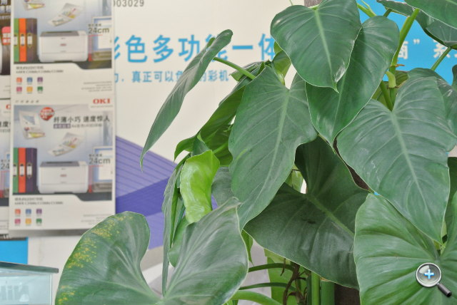 尼康 Nikon 1 V1、J1 新机到货,开箱试玩! 尼康 Nikon 1 V1、J1 新机到货,开箱试玩!