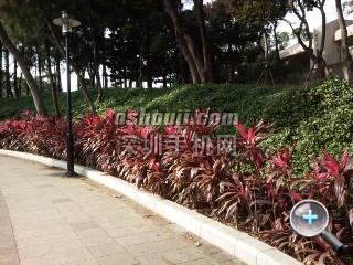 相片107.jpg放大镜图 http://www.shumaquan.com/uploadfile/news/2009-12/410/15105043157.jpg