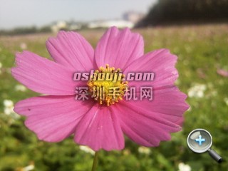 相片128.jpg放大镜图 http://www.shumaquan.com/uploadfile/news/2009-12/410/15105045162.jpg