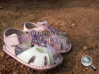 相片135.jpg放大镜图 http://www.shumaquan.com/uploadfile/news/2009-12/410/15105046164.jpg