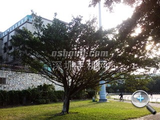相片043.jpg放大镜图 http://www.shumaquan.com/uploadfile/news/2009-12/410/15105050174.jpg