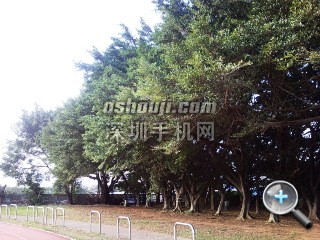相片047.jpg放大镜图 http://www.shumaquan.com/uploadfile/news/2009-12/410/15105051176.jpg