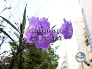 相片066.jpg放大镜图 http://www.shumaquan.com/uploadfile/news/2009-12/410/15105053182.jpg