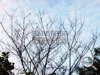 相片068.jpg放大镜图 http://www.shumaquan.com/uploadfile/news/2009-12/410/15105054183.jpg