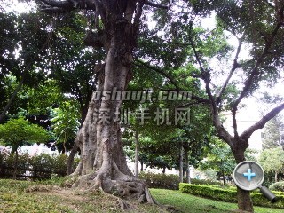 相片081.jpg放大镜图 http://www.shumaquan.com/uploadfile/news/2009-12/410/15105057191.jpg
